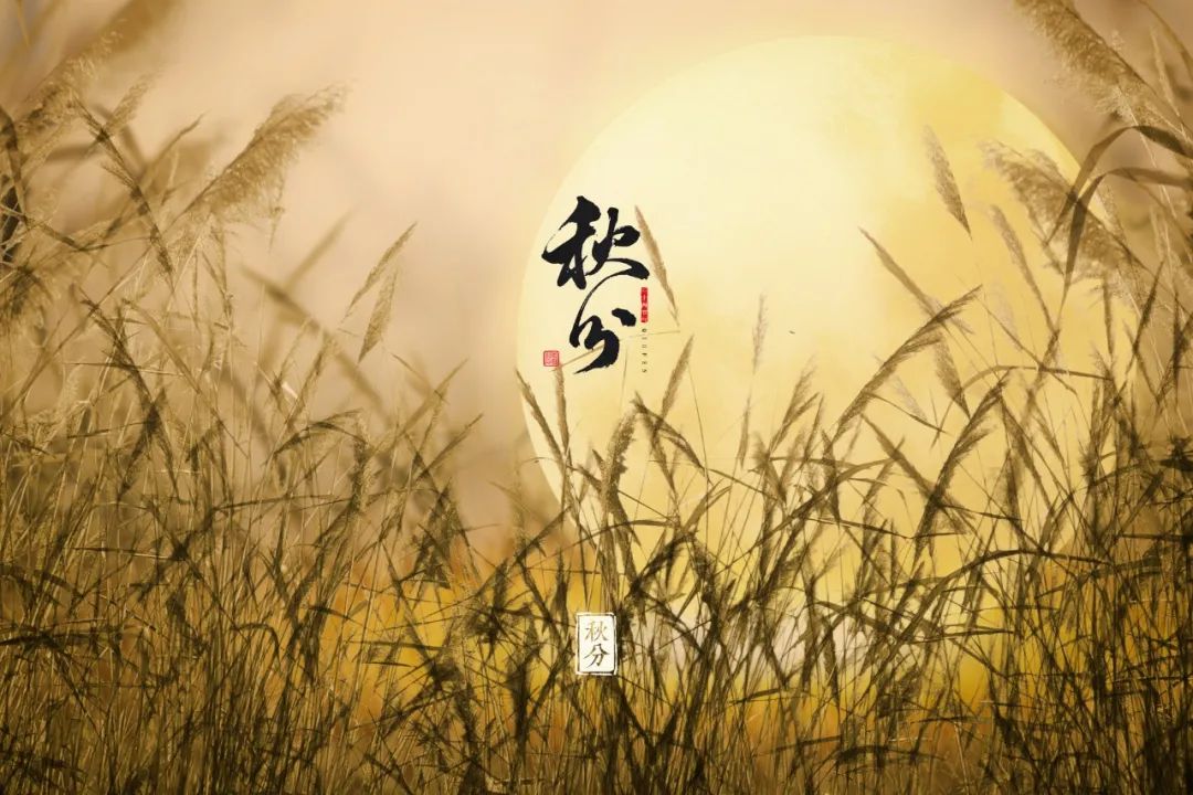 十首最美秋诗,10首最美秋夜诗词