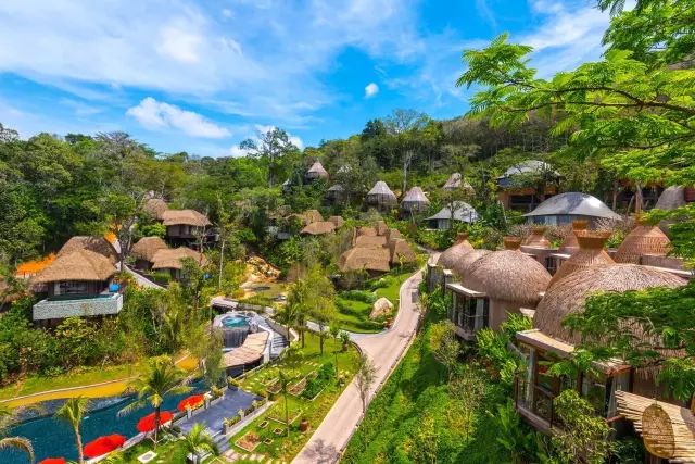 真正的森林树屋,这些树屋满足你对森林的所有幻想