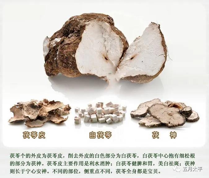 科学地拥有赵飞燕的美