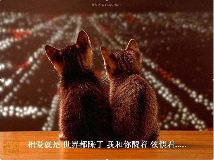 我只想说声爱你,只想再爱你一次