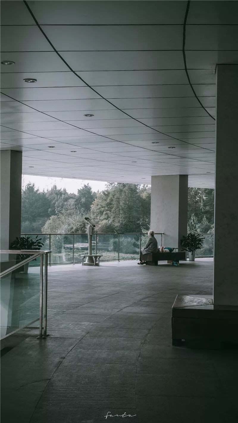 西溪天堂令人沉醉的江南梦境,城市的夜晚江南水乡美如画