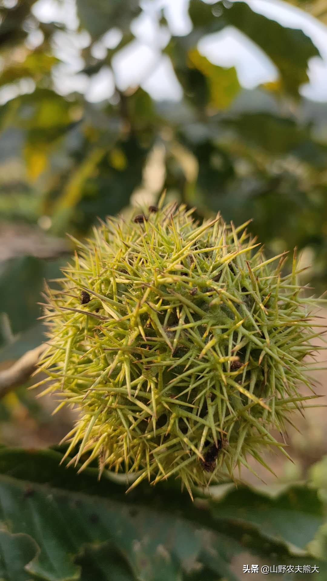 刚开始卖东西没有生意怎么办,刚开始卖不出去货