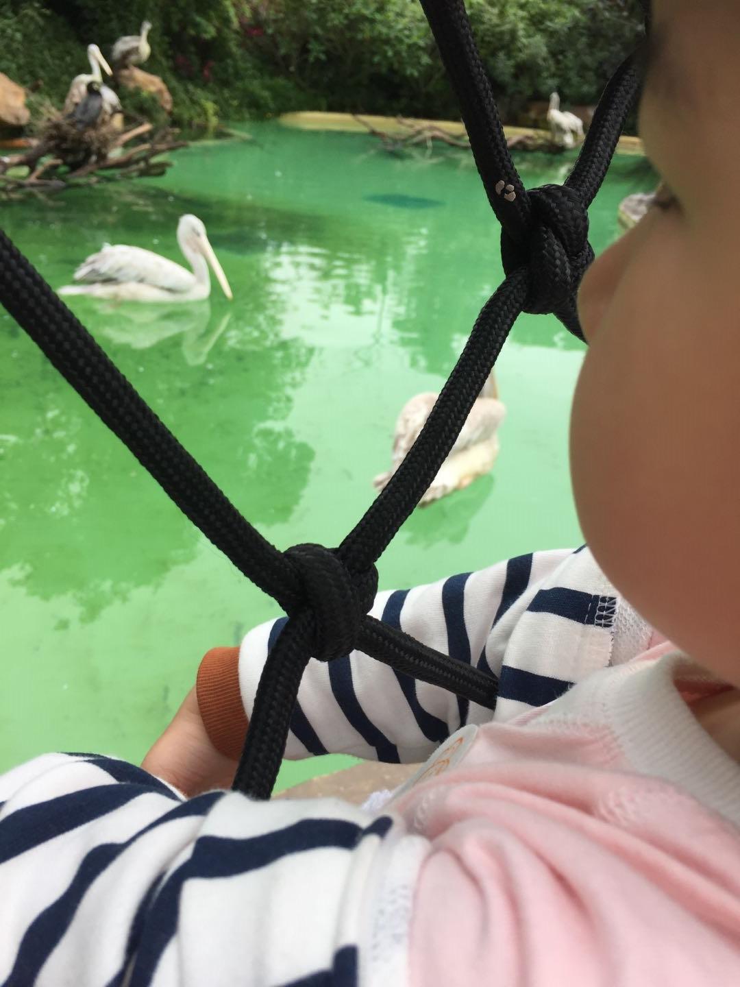 珠海长隆海洋王国附近美食,珠海长隆海洋王国官网预约