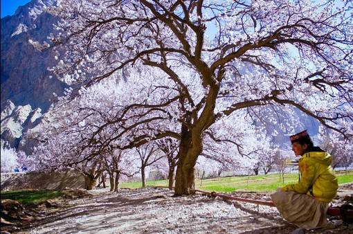 玄奘穿越帕米尔路线,帕米尔高原路线图帕莎古道