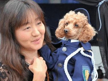 你对宠物做过的事情,你对狗狗做过的事情