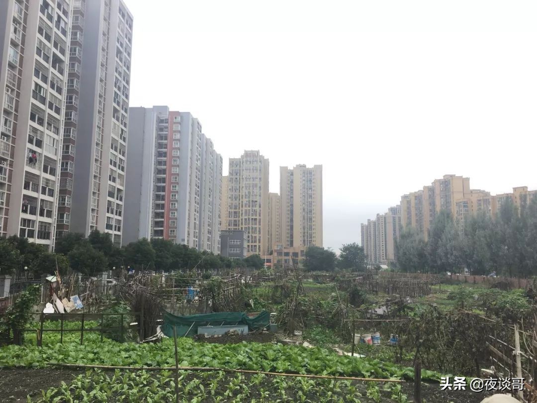 来成都感受这里的慢生活,来成都一年的感受