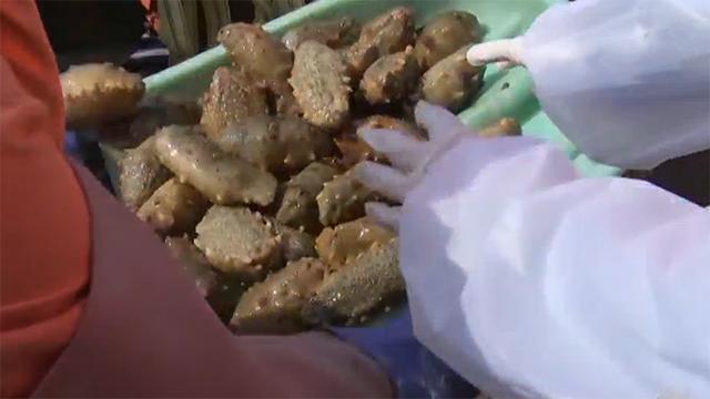 27岁姑娘创业失败,27岁姑娘白手起家400栋楼