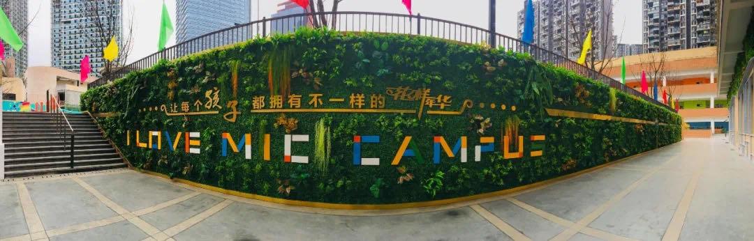 成都小学五朵金花学区房盘点,成都学区5朵金花