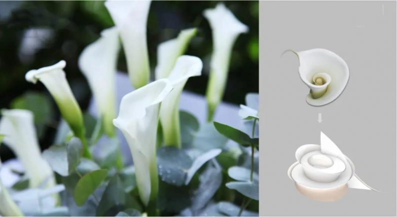 “永结同心”婚礼目的地规划方案亮相