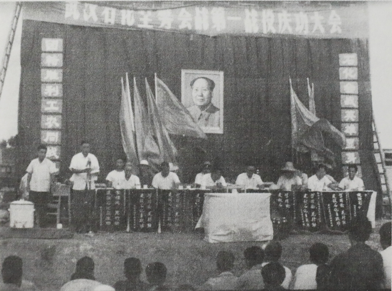 大武汉系列,武汉石油化工企业