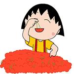 海阳小樱桃采摘季节,乳山市的大樱桃能摘吗