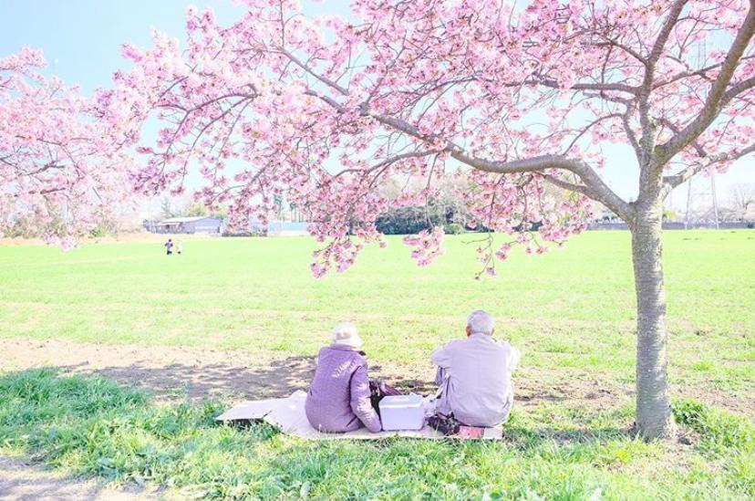 是心动啊，樱樱樱樱樱樱樱樱樱