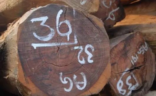 微凹黄檀和交趾黄檀的区别,交趾黄檀与微凹黄檀的区别