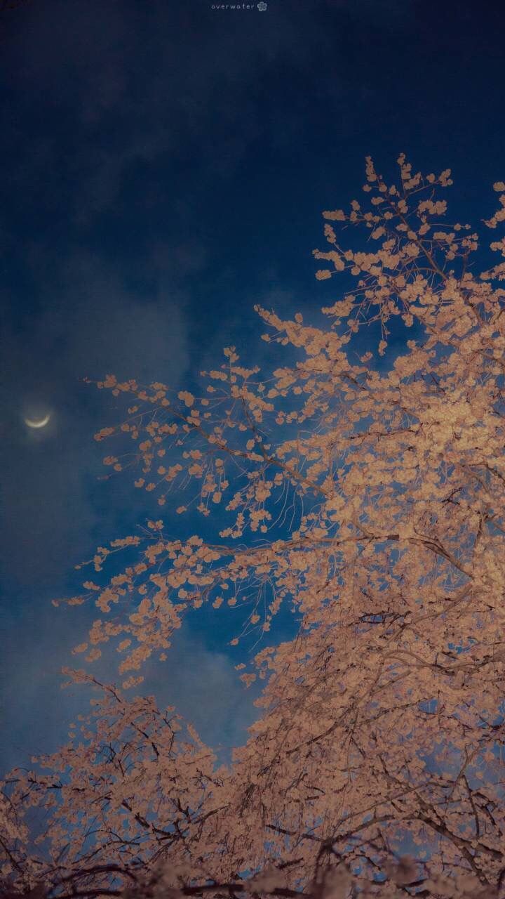 高清唯美的古风壁纸,令人伤感的古风壁纸