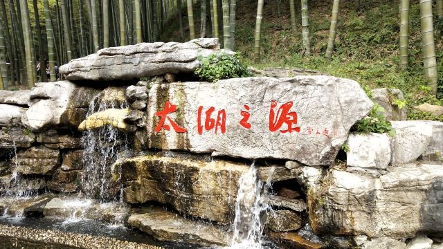 宜兴竹海自然风景图片,清新的竹林风景图片