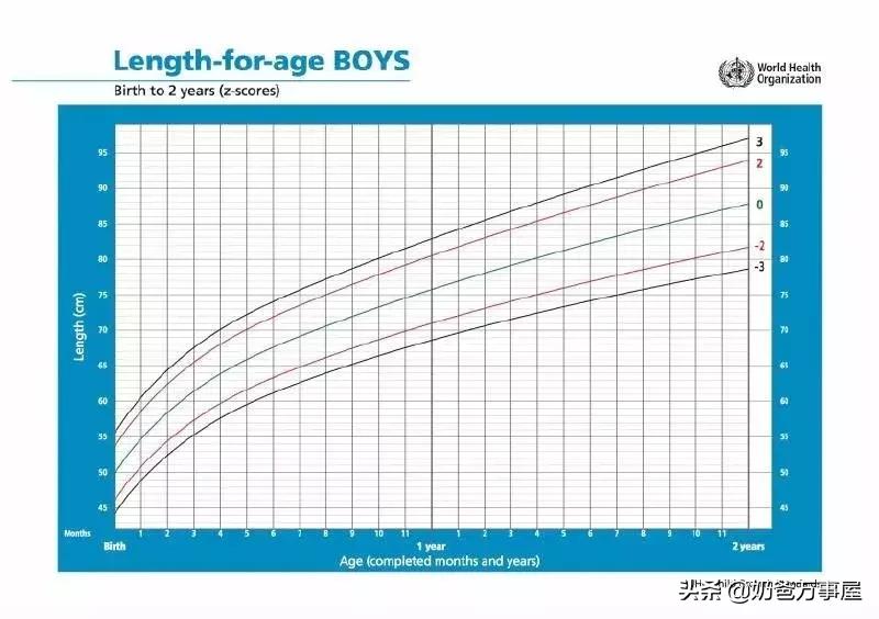 营养师防止婴儿肥胖,婴儿8个月偏瘦怎么吃