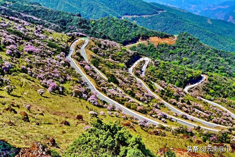 昆明周边五一去哪里,五一昆明周边搭帐篷