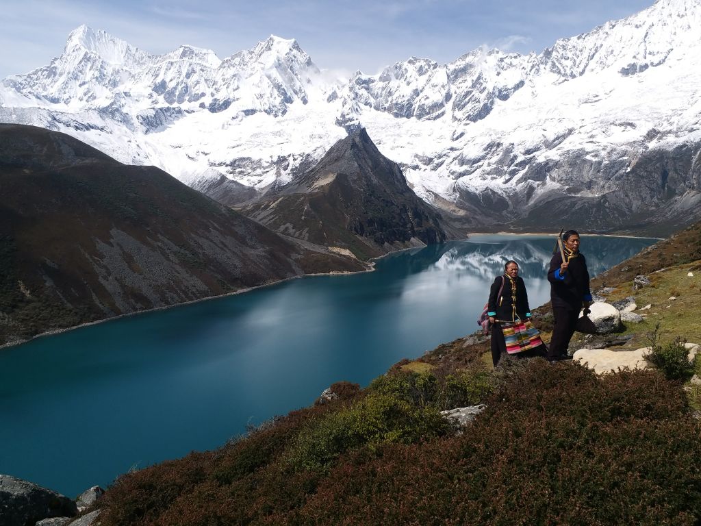 广东卫视全新改版,广东卫视最新消息