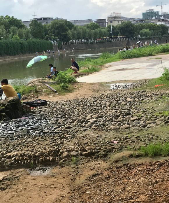 众人钓大鱼,一群人钓大鱼名场面