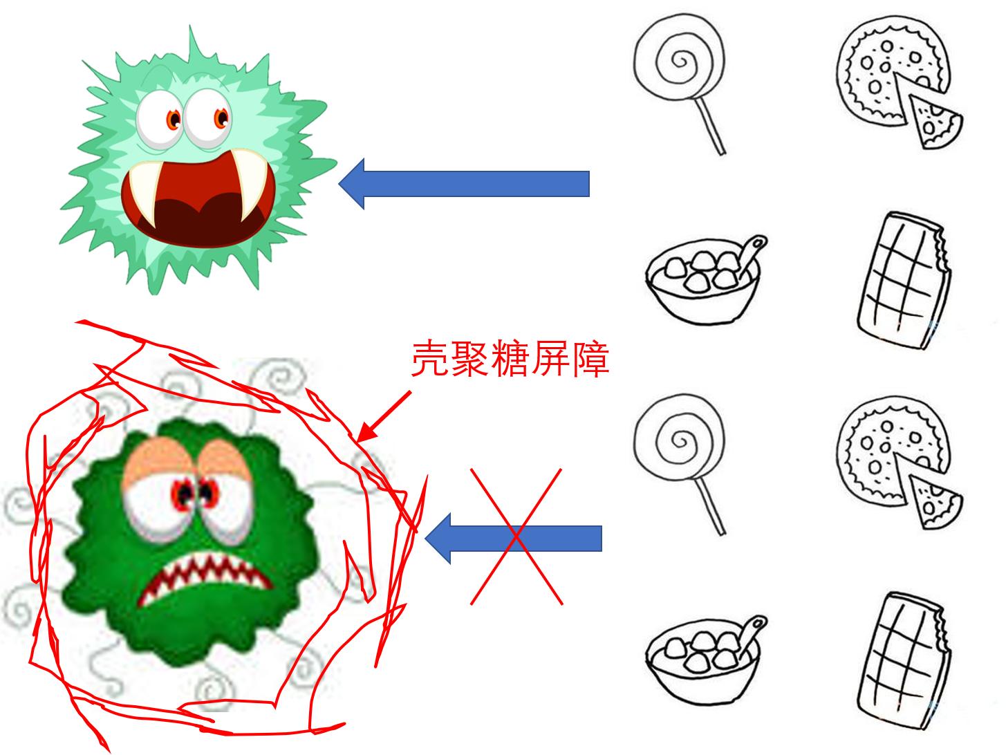 美食→生物材料|小龙虾→伤口敷料