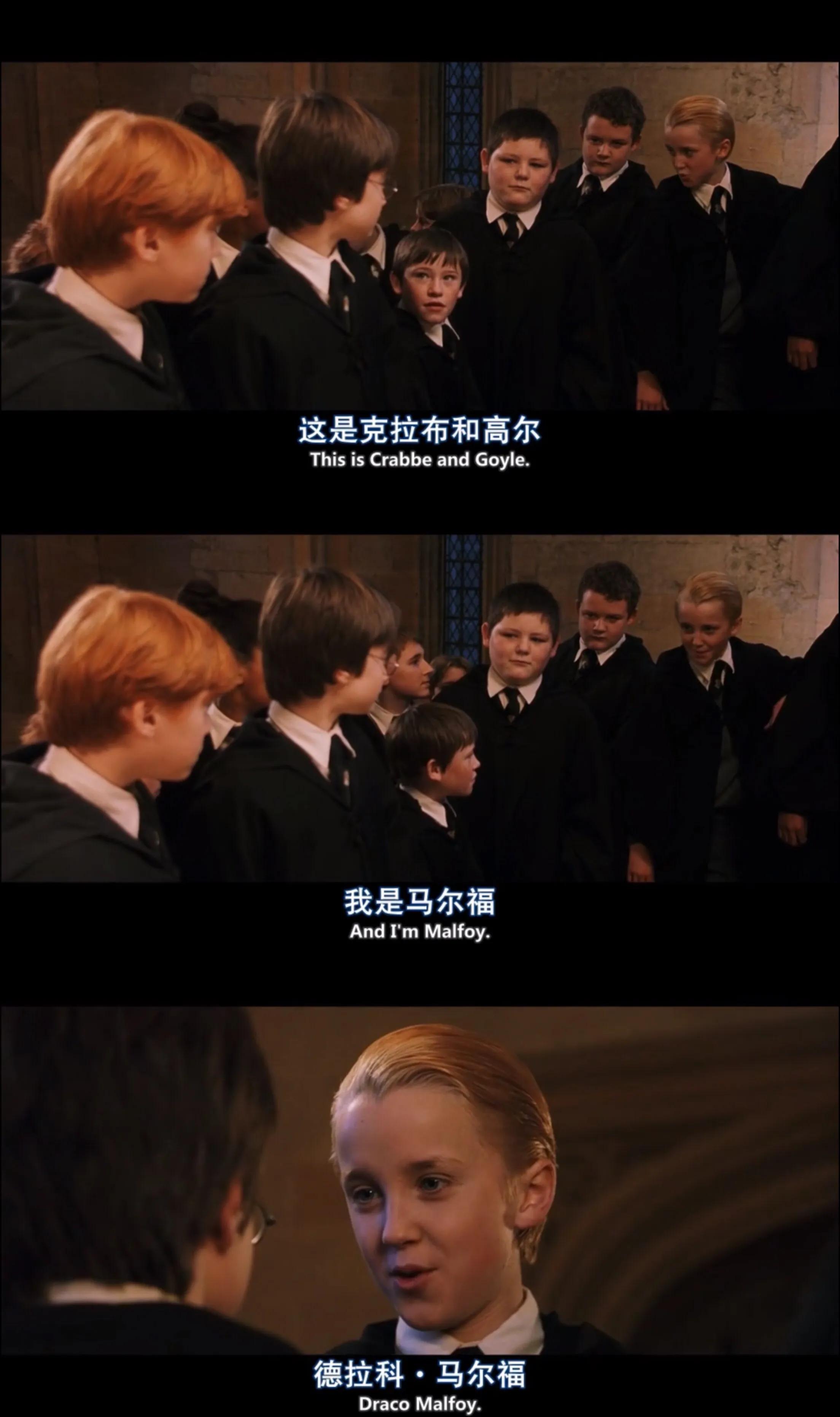 德拉科马尔福七年,德拉科马尔福十件事