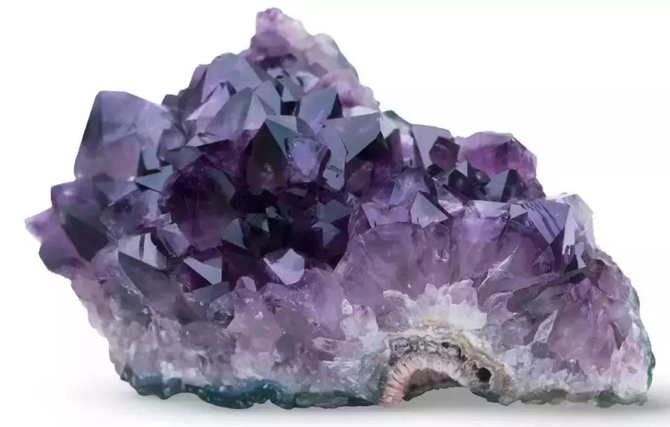 《DK博物大百科》上线啦!6.5折就可买到