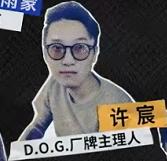 乐夏2都有什么队,乐夏2有哪些乐队