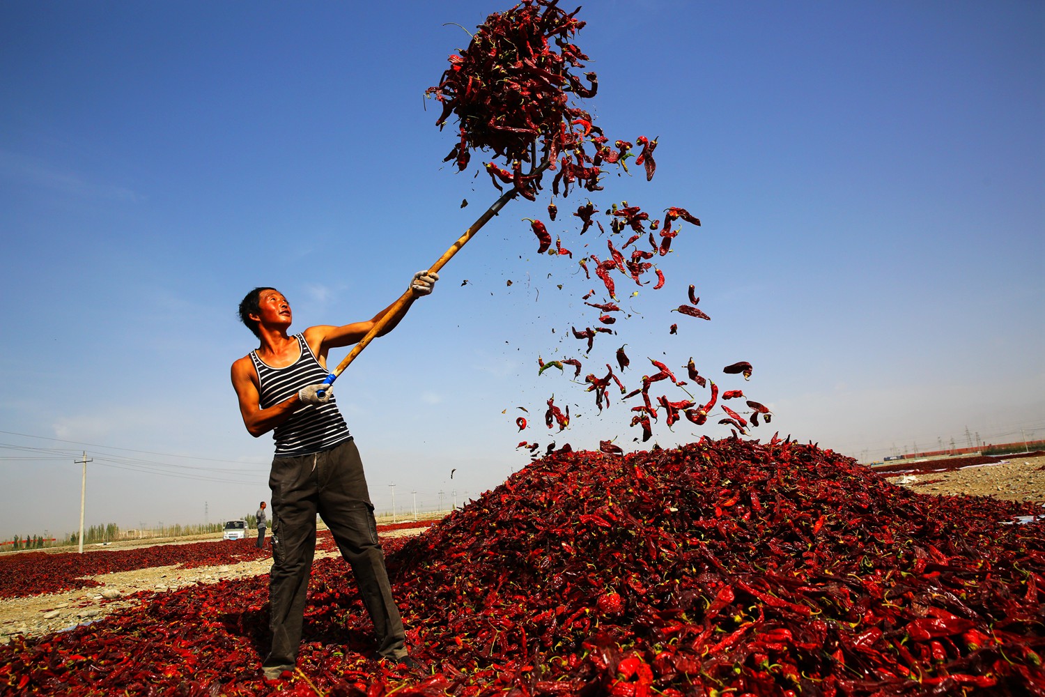 丰收快乐节,农民丰收节唱出丰收喜悦