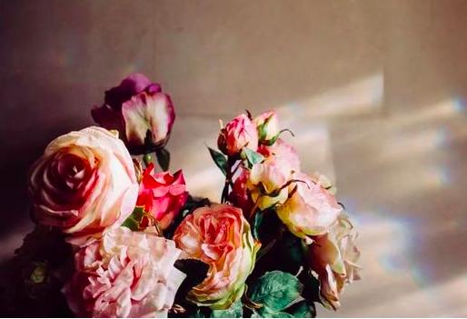 自己没有积极性没有上进心怎么办,懒惰没有上进心怎么办