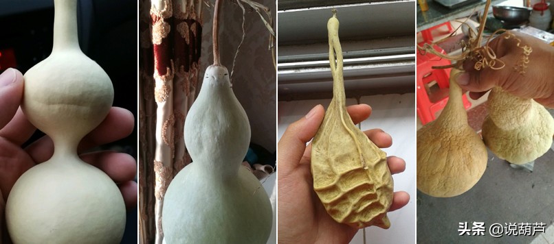 文玩葫芦怎么保养不会裂,文玩葫芦把玩有讲究吗