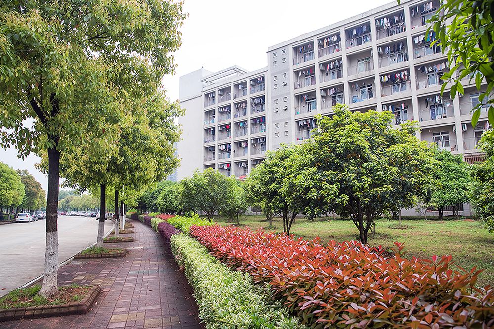 武科大算什么档次,武科大属于什么水平