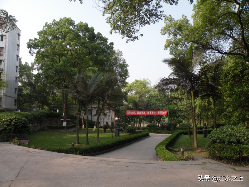 今年泸县一中高考情况,泸县一中五中四中今年的本科率