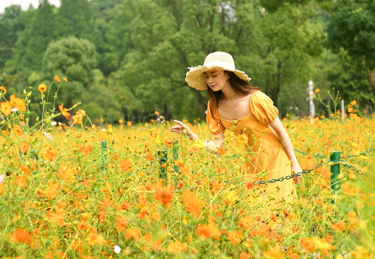 黄橙绿颜色的手账,夏天色彩手账图片