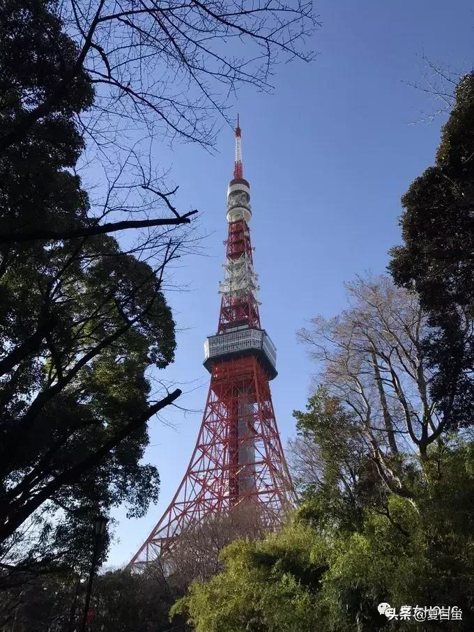 东京六本木地图,东京六本木街区