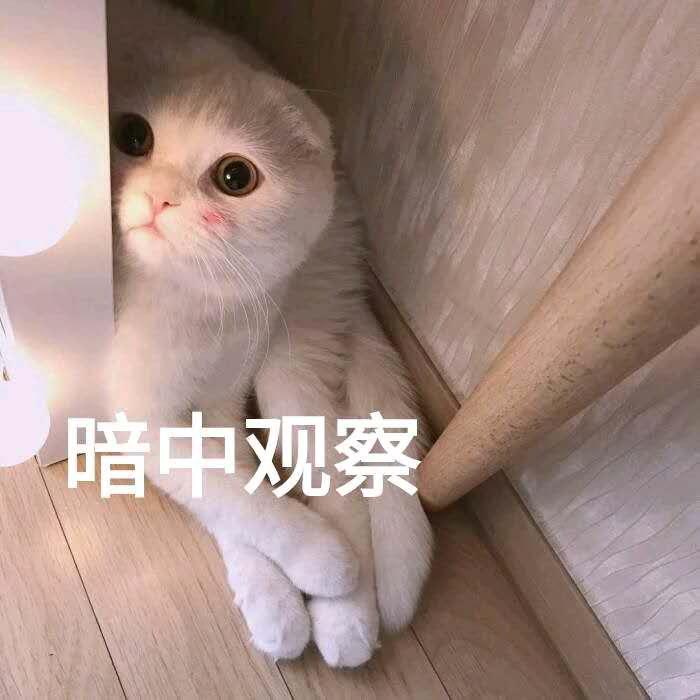 对于网红卖假货的看法,对于网红卖假货想说什么