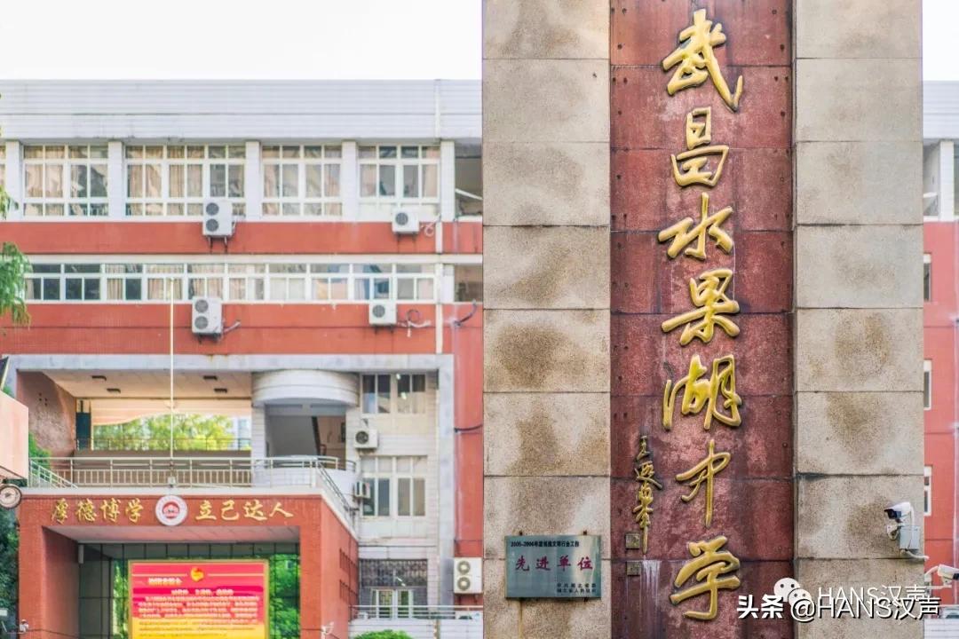 新年武汉去哪里玩,达达乐队重聚武汉