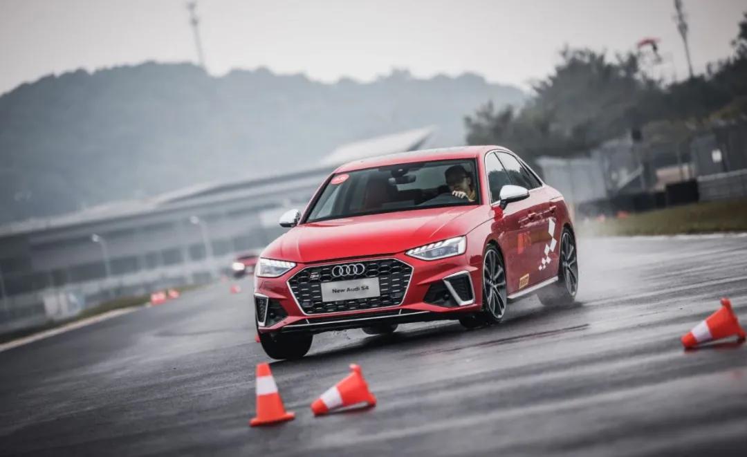 这才是真正的人生赢家,这才是真正的人参枸杞茶