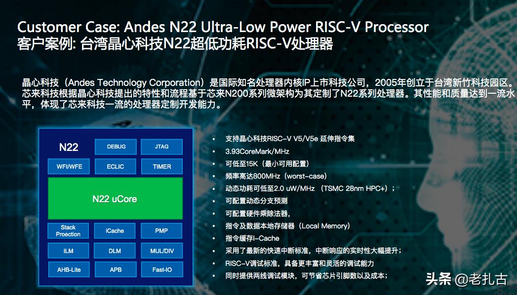 中国risc-v芯片有哪些,risc-v国产soc芯片