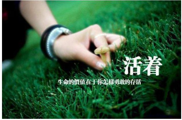 我们都要好好面对人生,生活不容易但我们依旧努力的活着