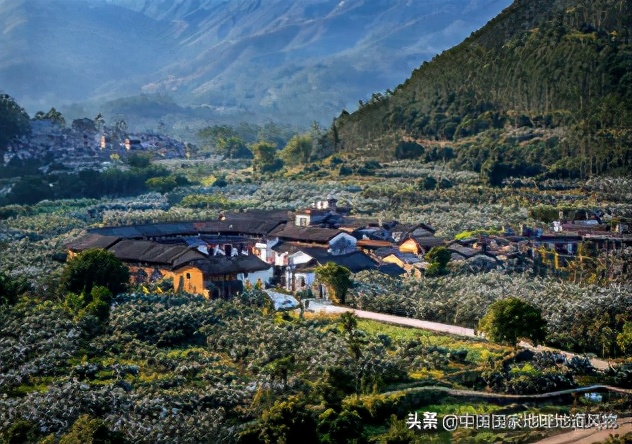 生活在水果之乡就是安逸,闽南是个水果之乡