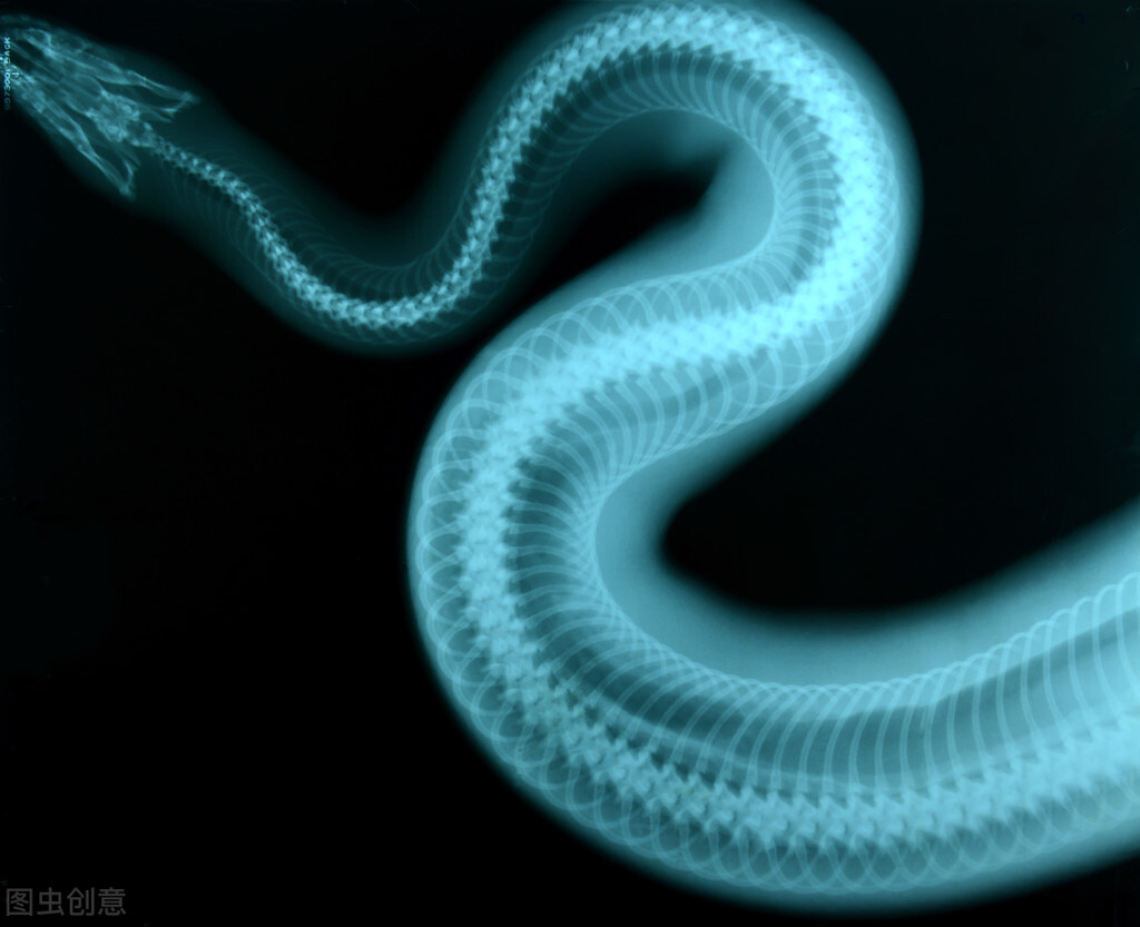 蛇性本淫是事实吗,蛇性本淫什么意思