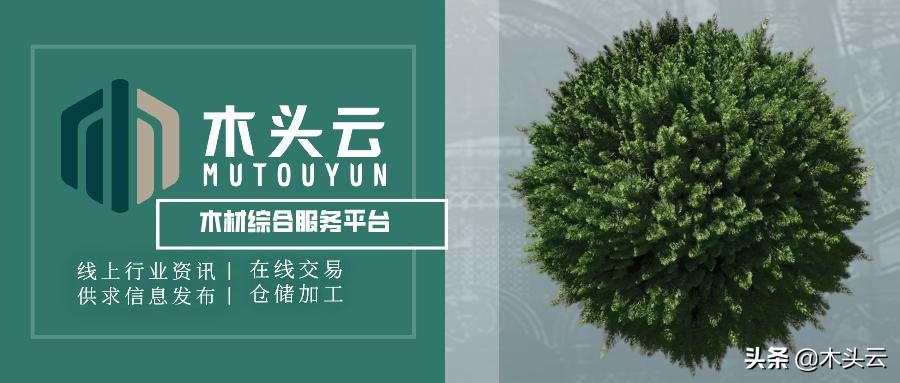 木材本身什么味道,未见其木先闻其味什么意思