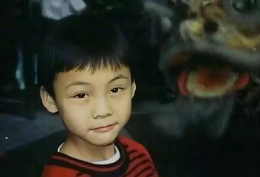 王思聪对陈伟霆的评价,陈伟霆在港圈的地位