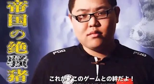 pdd在日本的地位,pdd人在日本