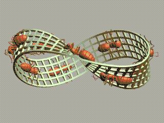 莫比乌斯环无限循环讲解,莫比乌斯环爱的无限循环