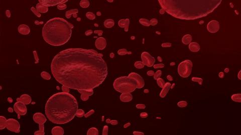 以前人们长虱子现在怎么没有了,为何30年前农村男女老少都有虱子