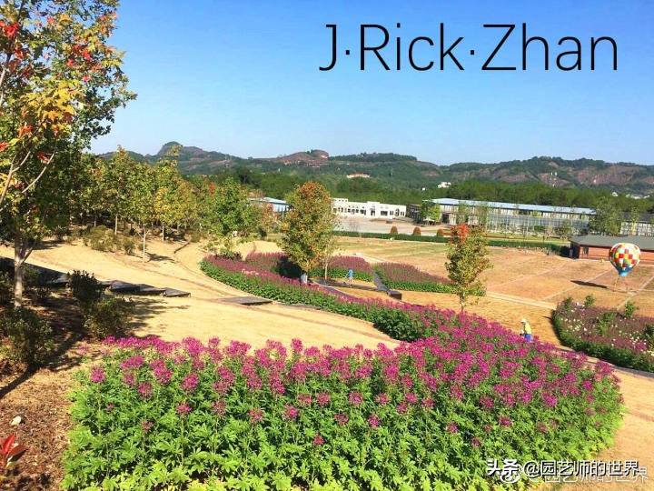 适合北方庭院种植的低矮草坪,家庭庭院怎样混搭种植草坪和蔬菜