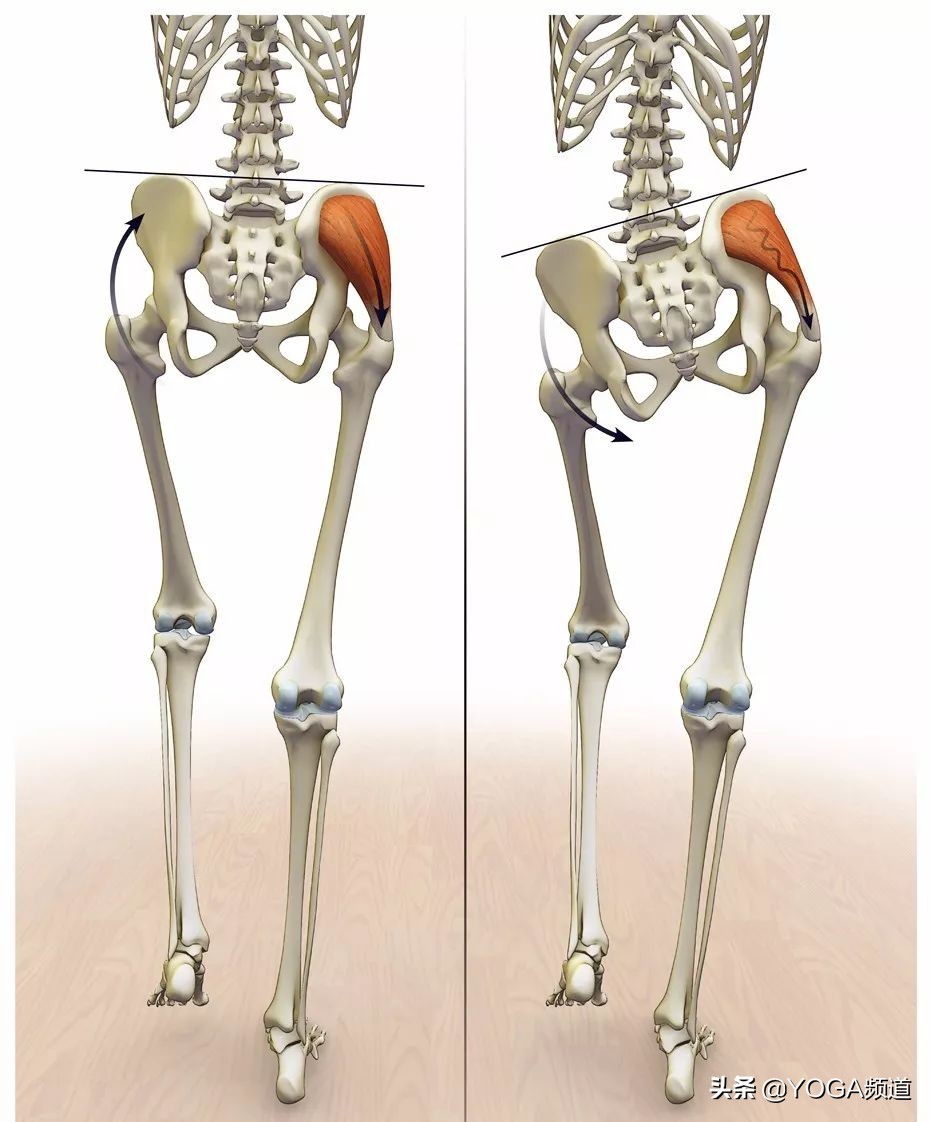 瑜伽骨盆前倾的最有效的矫正方法,练瑜伽侧腰抻着了怎么办