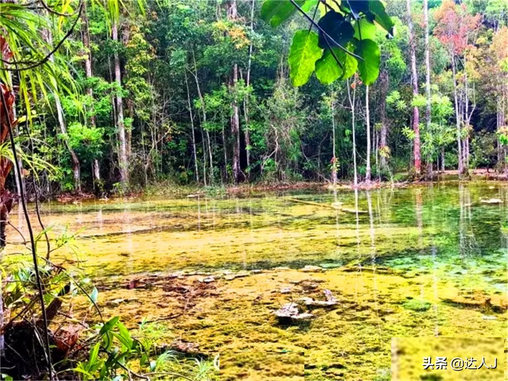 泰国甲米无边泳池,泰国甲米岛泳池