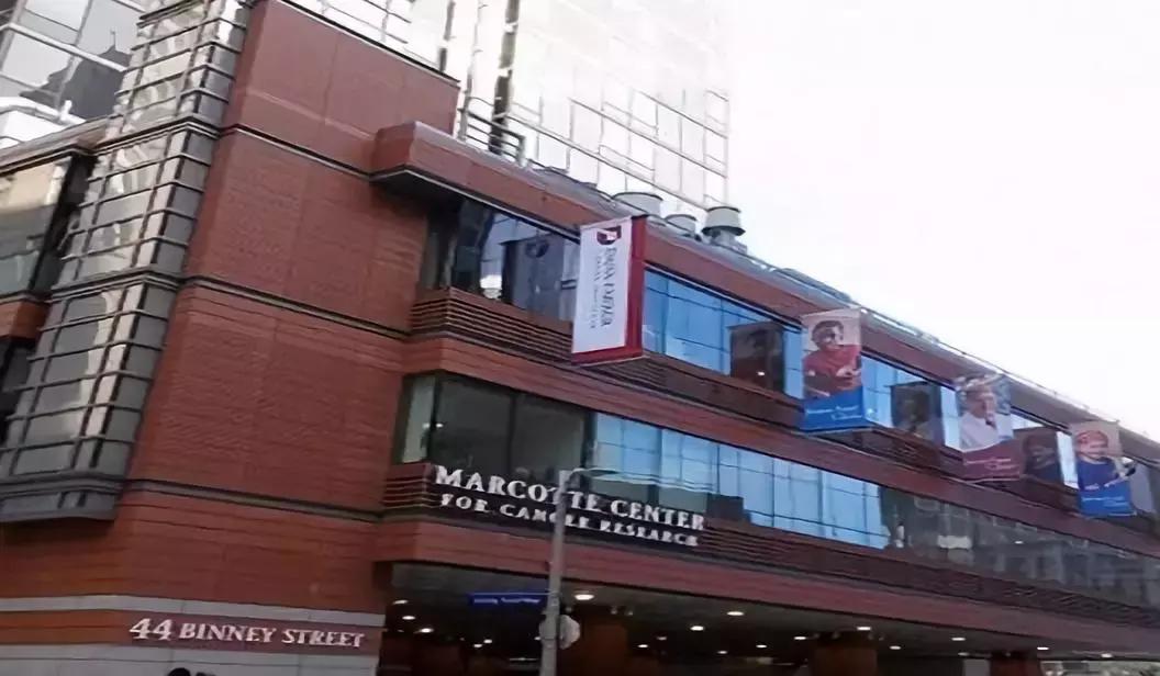 子宫内膜癌的抗癌药物,子宫癌新药